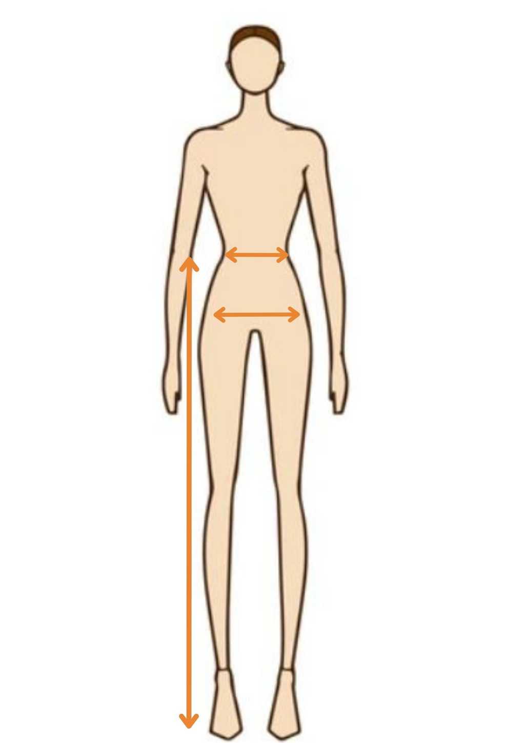 manequim com indicacoes de onde se medir parte inferior do corpo