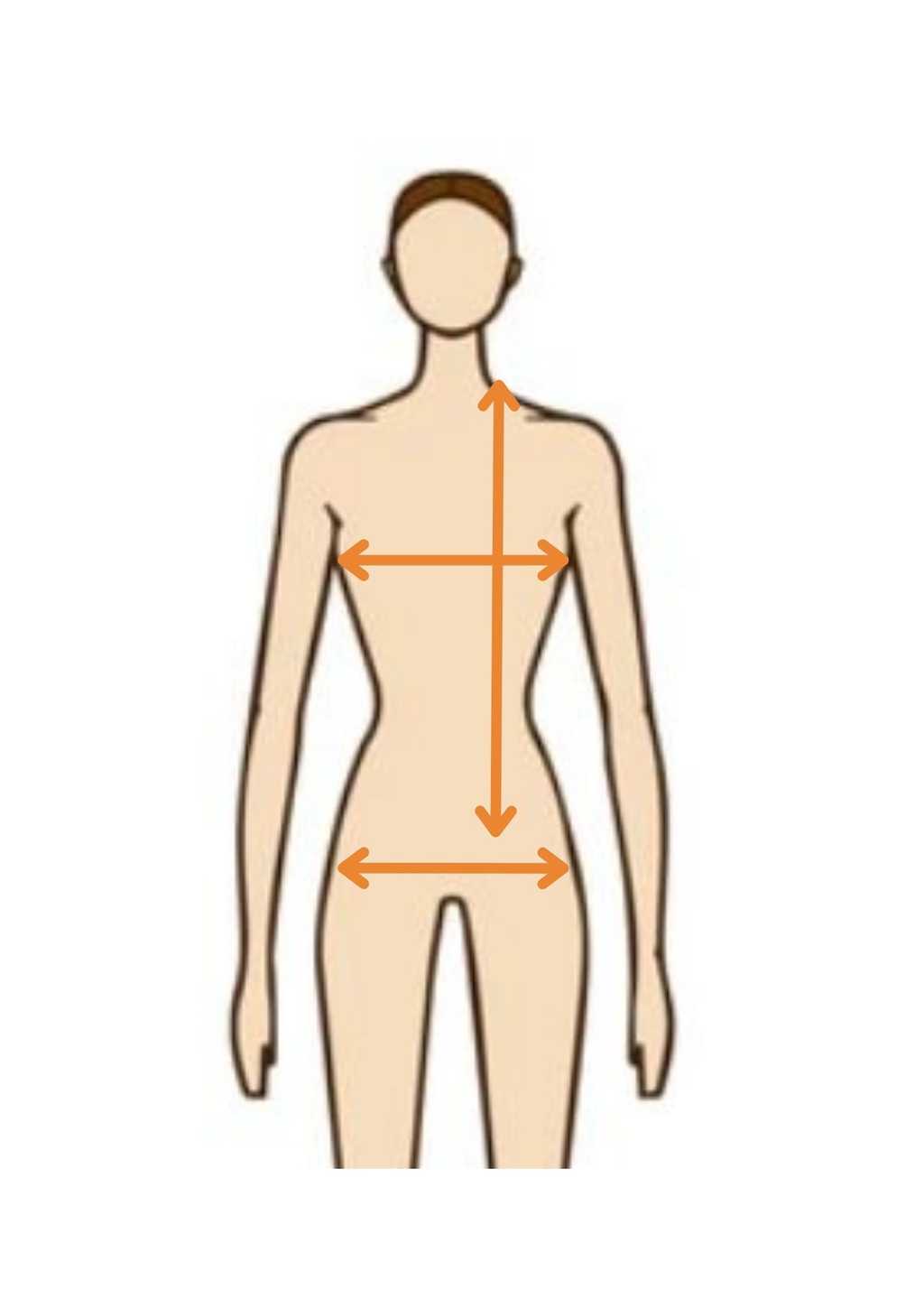 manequim indicando onde se medir parte superior do corpo